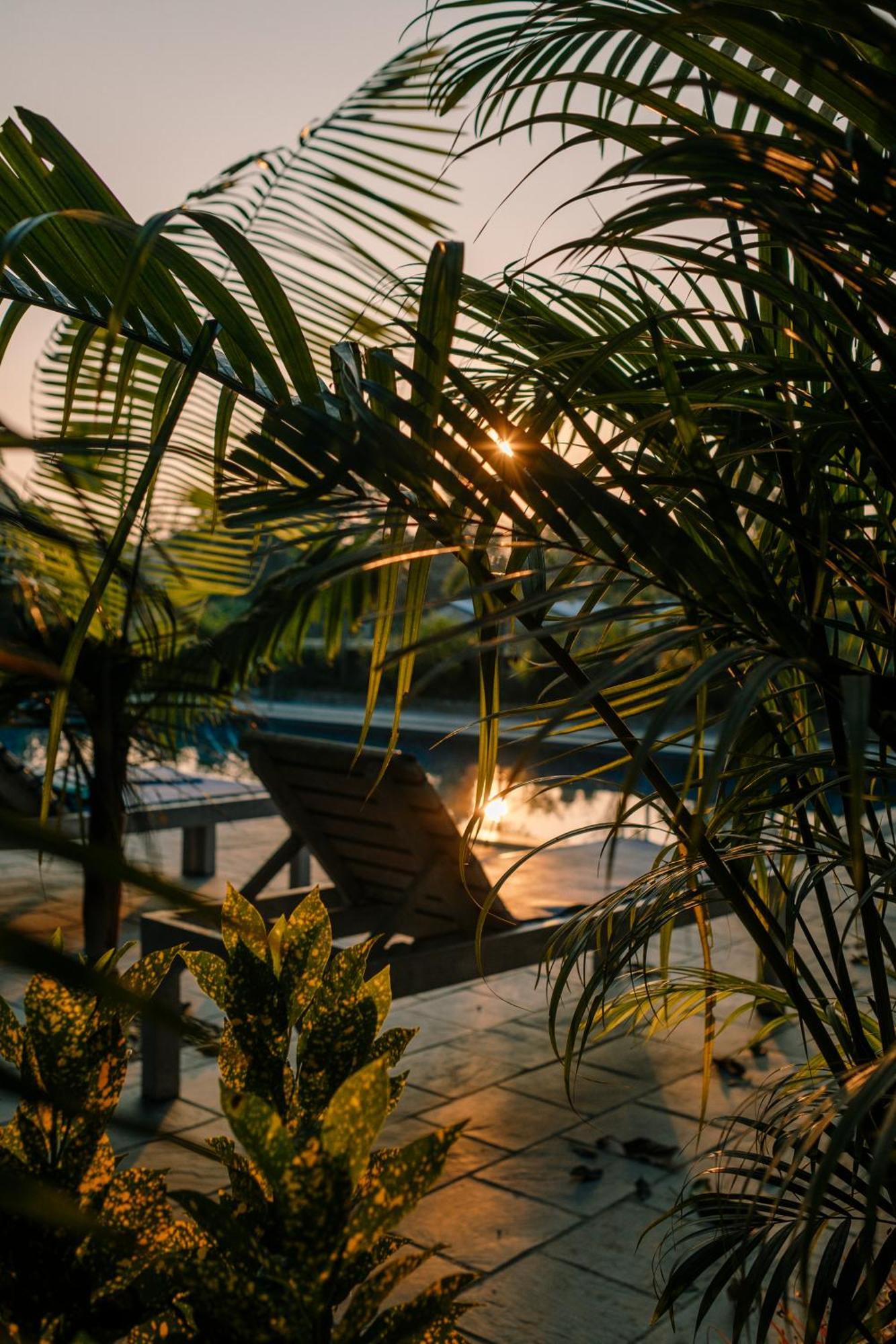 Hotel Parkside & Swimming Pool-Between Greenery And Azure ,Your Perfect Retreat Chitwan Εξωτερικό φωτογραφία